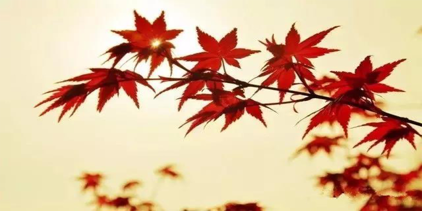 感恩今生相遇的每個人！